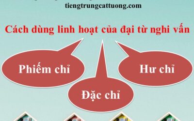 Cách dùng MỞ RỘNG của ĐẠI TỪ NGHI VẤN 《疑问代词的活用》- Ngữ pháp tiếng Trung