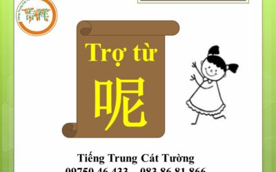 Trợ từ 呢 ne ( BAO GỒM CÂU HỎI TỈNH LƯỢC )