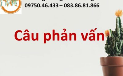 Câu phản vấn ( 5 CẤU TRÚC CỦA CÂU PHẢN VẤN )