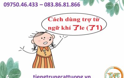 Trợ từ ngữ khí 了le (了1)