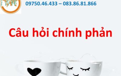 Câu hỏi chính phản