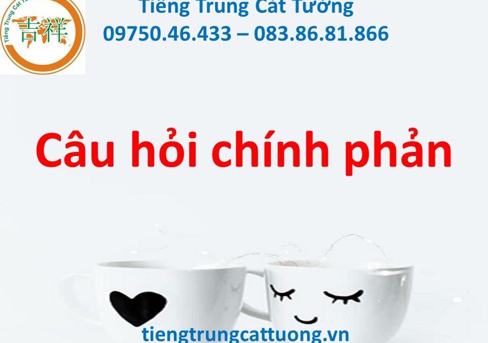 Câu hỏi chính phản