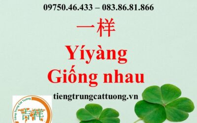 Câu chuyện vui – GIỐNG NHAU