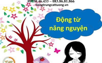 Động từ năng nguyện – Phần 1
