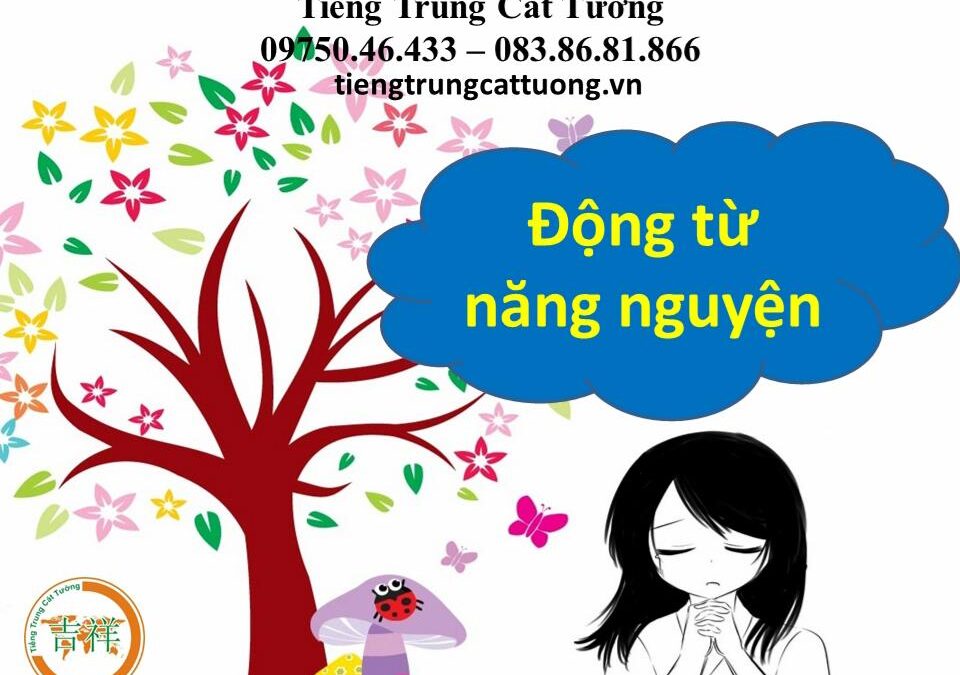 Động từ năng nguyện – Phần 1