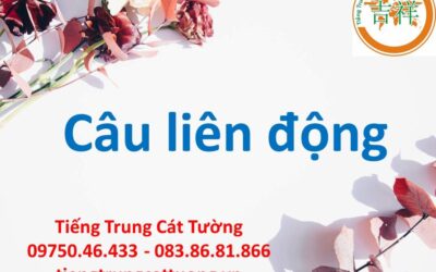 CÂU LIÊN ĐỘNG《连动句》trong tiếng Trung
